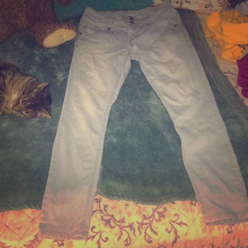 Wallflower Jeans